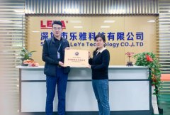 数字化助力科技创新，乐雅科技领跑高品质液晶显示屏市场